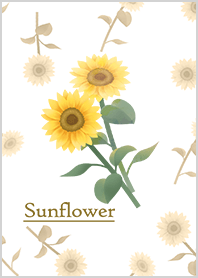 Reika Akatsuki -Sunflower-