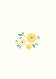 soft flower sunflower
