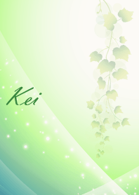 No.0100けいの幸運を呼ぶ綺麗な着せかえ