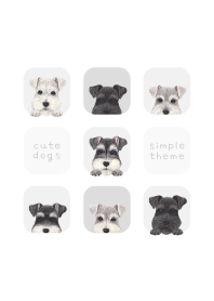 DOGS - シュナウザー - ホワイト/グレー