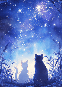 Cat couple gazing at the stars