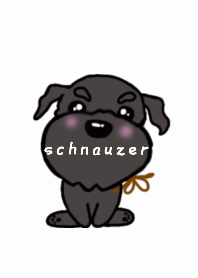 black schnauzer olive 6