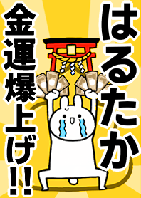 Fortune rise rabbiit[Harutaka]