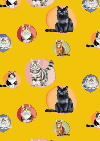 colorful cat on yellow
