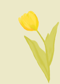 The Elegant Tulip