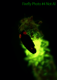 Firefly Photo #4-18 NotAI