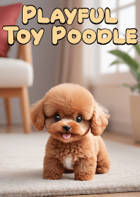 愛玩耍的玩具貴賓犬 VOL.6