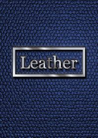 藍色皮革銀色主題