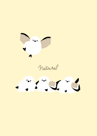 Long-tailed Tit line up17 from Japan