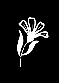 Black Night Flower