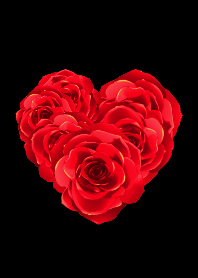 Red Rose_Thema