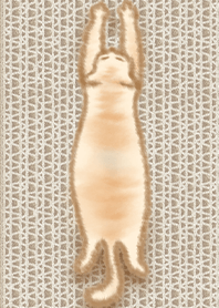 萌え癒し猫猫-爪とぎ1.1.1