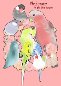 Welcome To the Bird Garden