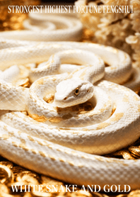 White snake and gold  Lucky 39