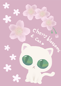 白猫と桜