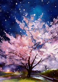 Beautiful night cherry blossoms#2547