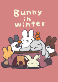 Bunny in winter !