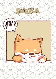 สุมา ใครไม่บะ ชิบะ 4 V12