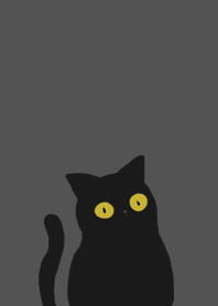 Kuro cat