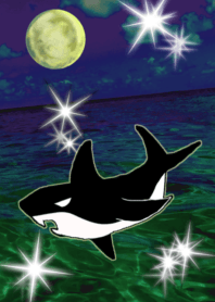 lucky shark  moon Sea