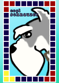 cool schnauzer dog 6