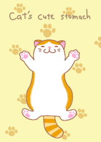 [Cat's fluffy and cute stomach.]