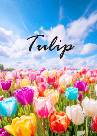 "Tulip vol.42" theme