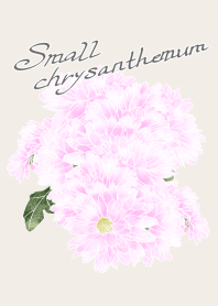 small chrysanthemum