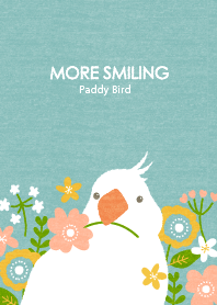 MORE SMILING Paddy Bird World