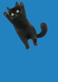 blue　くせあり黒猫03