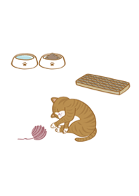 我養的小廢貓(橘色貓咪)