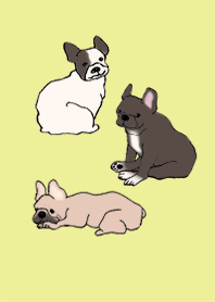 狗 法國鬥牛犬_檸檬色