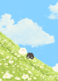 BiBi : mountain flower field