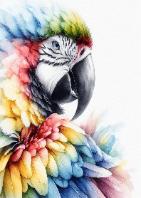 カラフルなオウムコンゴウインコ