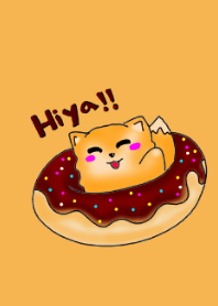 Fox Pan is HERE!!