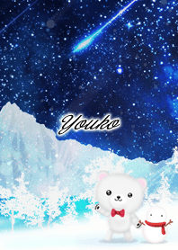 Youko Polar bear winter night sky