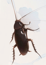 提升膽量 療癒蟑螂