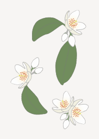 white flowerBE