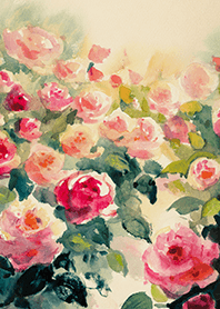 Beautiful rose flower(R4611)