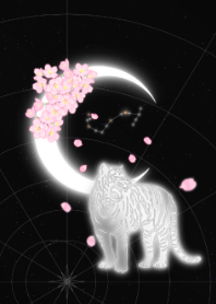 月亮生肖虎天蝎座