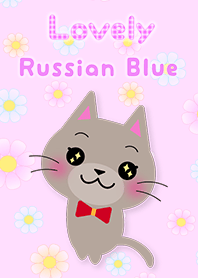 Lovely Russian Blue cat