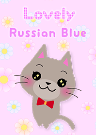 ロシアンブルーのゆきちゃん