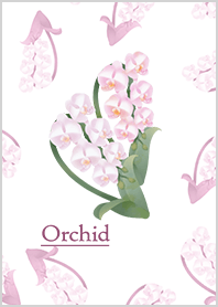 Reika Akatsuki -Orchid-
