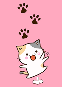 Theme of Cute Calico cat