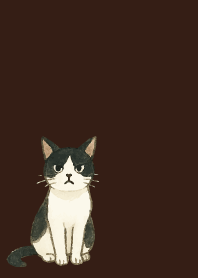 tuxedo cat on brown