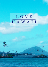 I LOVE HAWAII - aloha 5