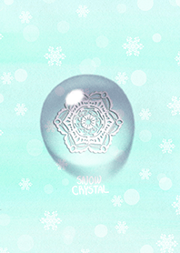 snow crystal_069