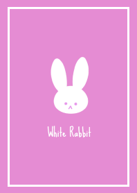 White Rabbit THEME -68