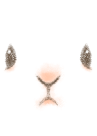 Rabbit face