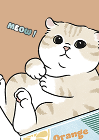 neko single17 / burly wood